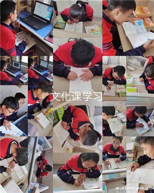 文化课学习