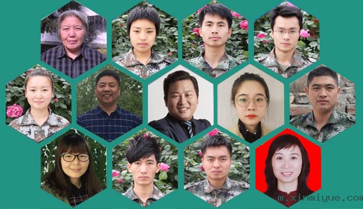 心理学研究与实践团队