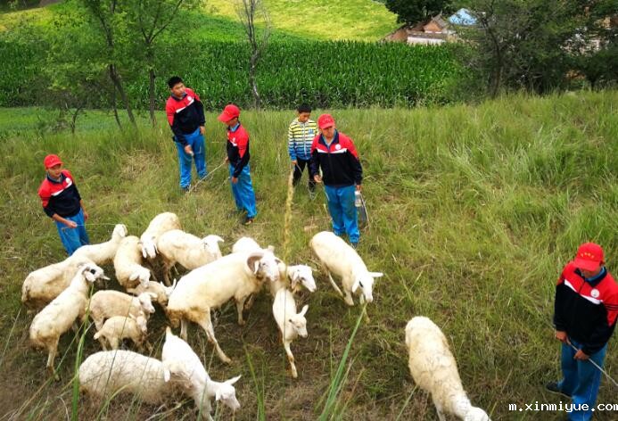 让叛逆的孩子去军事特训学校改造可以吗? 让叛逆的孩子去军事特训学校改造可以吗?_m.xinmiyue.com