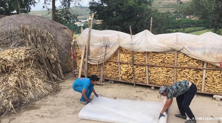 必威betway中文官网学校:青少年传统文化夏令营 必威betway中文官网学校:青少年传统文化夏令营_m.xinmiyue.com