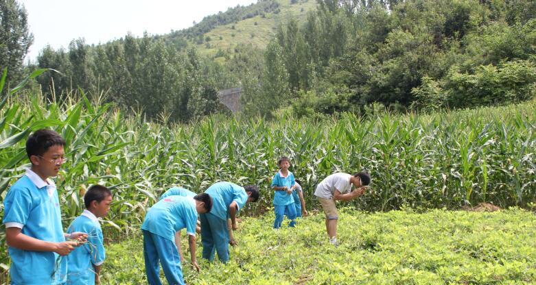 贫困山区夏令营招生的目的是什么? 贫困山区夏令营招生的目的是什么?_m.xinmiyue.com