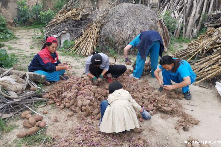 贫困山村夏令营的宣传方案怎么制作? 贫困山村夏令营的宣传方案怎么制作?_m.xinmiyue.com