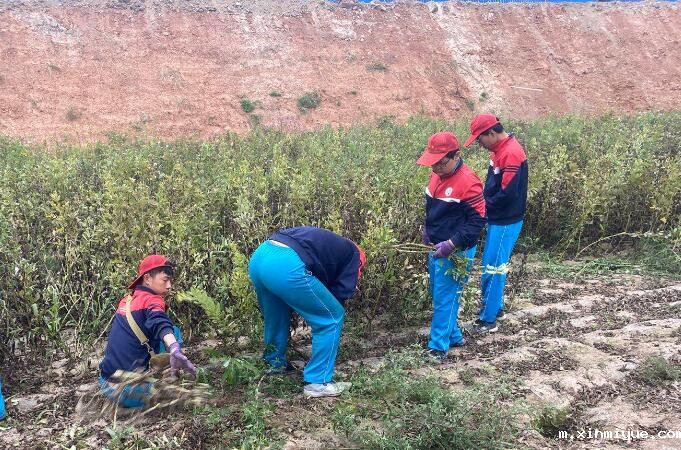 贫困山村夏令营的宣传方案怎么制作? 贫困山村夏令营的宣传方案怎么制作?_m.xinmiyue.com