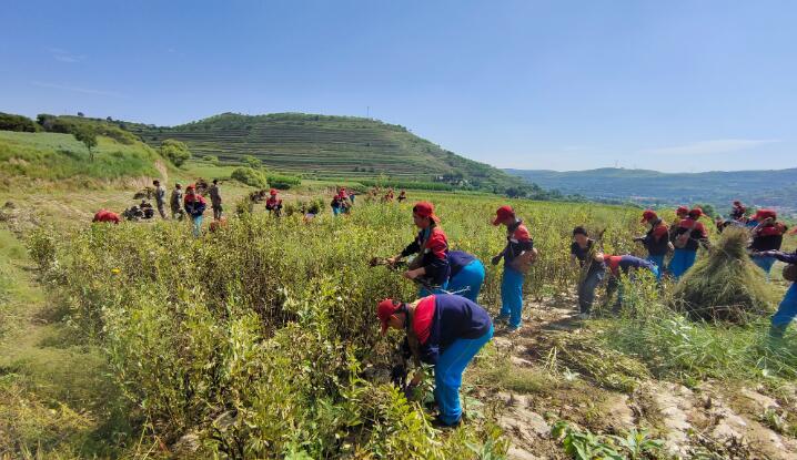 贫困山村夏令营的宣传方案怎么制作? 贫困山村夏令营的宣传方案怎么制作?_m.xinmiyue.com