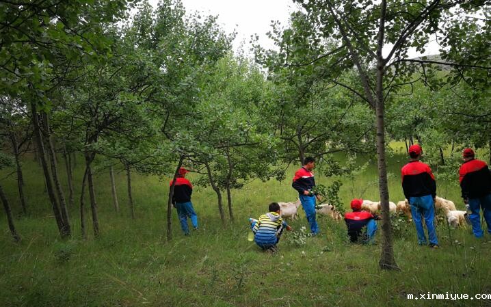 让孩子参加贫困山村夏令营的目的是什么? 让孩子参加贫困山村夏令营的目的是什么?_m.xinmiyue.com