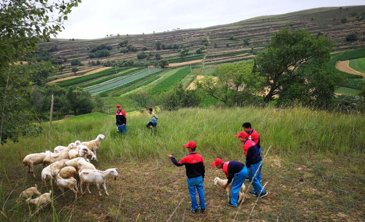 让孩子参加贫困山村夏令营的目的是什么? 让孩子参加贫困山村夏令营的目的是什么?_m.xinmiyue.com