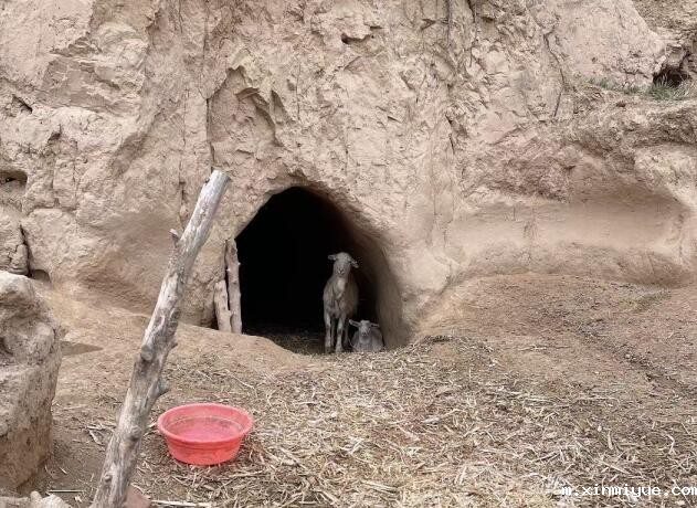 做公益活动的意义和价值有哪些? 做公益活动的意义和价值有哪些?_m.xinmiyue.com