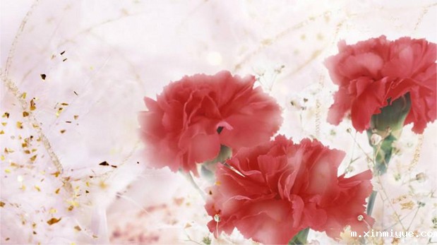 孩子叛逆几年,父母就老了几年,余生不多亦! 孩子叛逆几年,父母就老了几年,余生不多亦!_m.xinmiyue.com