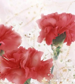 孩子叛逆几年,父母就老了几年,余生不多亦! 孩子叛逆几年,父母就老了几年,余生不多亦!_m.xinmiyue.com