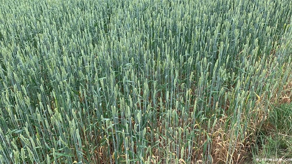 2021年必威betway中文官网「成长不烦恼」夏令营第四天之修路、捡垃圾,爱护环境小能手! 2021年必威betway中文官网「成长不烦恼」夏令营第四天之修路、捡垃圾,爱护环境小能手!_m.xinmiyue.com