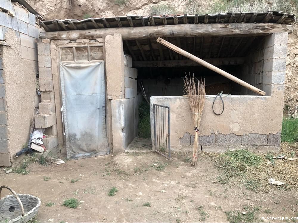 王多苍年入8000元的家庭,孩子如何能有好的学习环境! 王多苍年入8000元的家庭,孩子如何能有好的学习环境!_m.xinmiyue.com