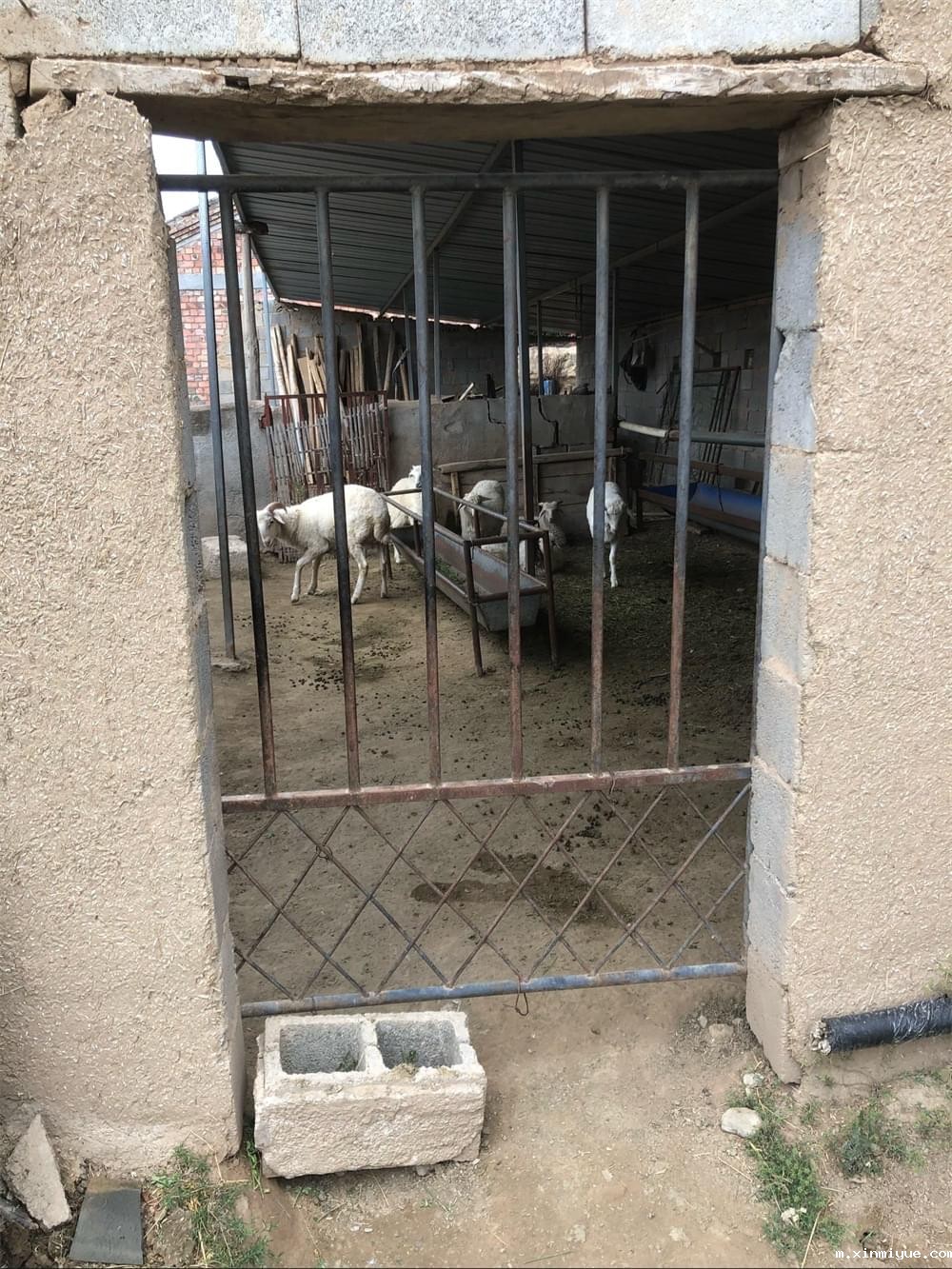 王多苍年入8000元的家庭,孩子如何能有好的学习环境! 王多苍年入8000元的家庭,孩子如何能有好的学习环境!_m.xinmiyue.com