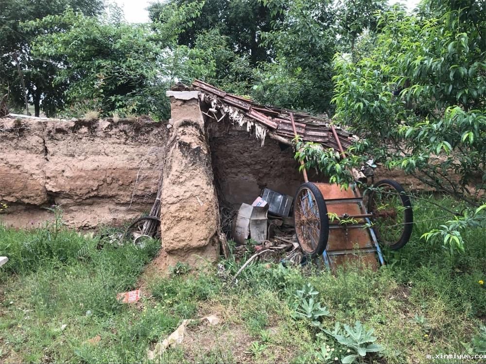 王多苍年入8000元的家庭,孩子如何能有好的学习环境! 王多苍年入8000元的家庭,孩子如何能有好的学习环境!_m.xinmiyue.com