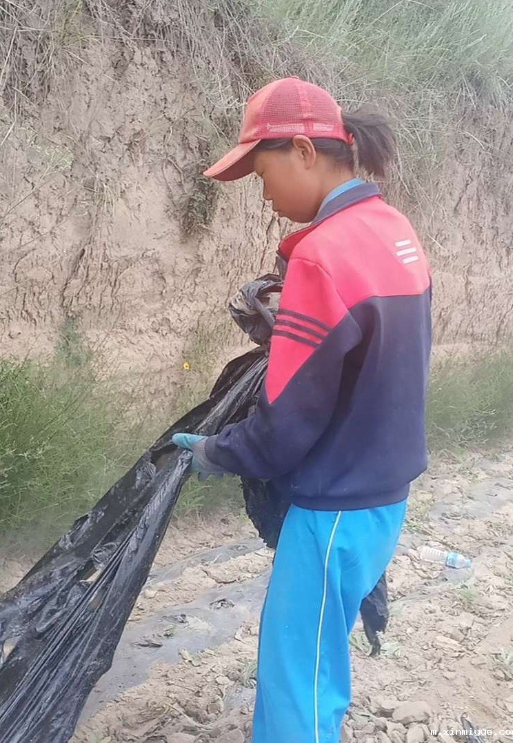 2021年必威betway中文官网夏令营第三期第14天:让孩子体验收割小麦的辛苦 2021年必威betway中文官网夏令营第三期第14天:让孩子体验收割小麦的辛苦_m.xinmiyue.com