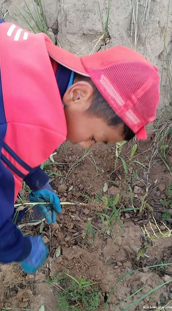 2021年必威betway中文官网夏令营第三期第19天:了解农耕文化,释放天性恢复感知能力! 2021年必威betway中文官网夏令营第三期第19天:了解农耕文化,释放天性恢复感知能力!_m.xinmiyue.com