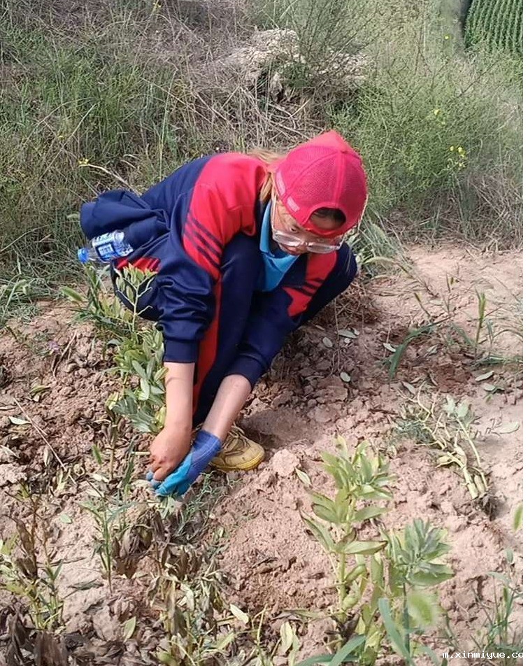 2021年必威betway中文官网夏令营第三期第19天:了解农耕文化,释放天性恢复感知能力! 2021年必威betway中文官网夏令营第三期第19天:了解农耕文化,释放天性恢复感知能力!_m.xinmiyue.com