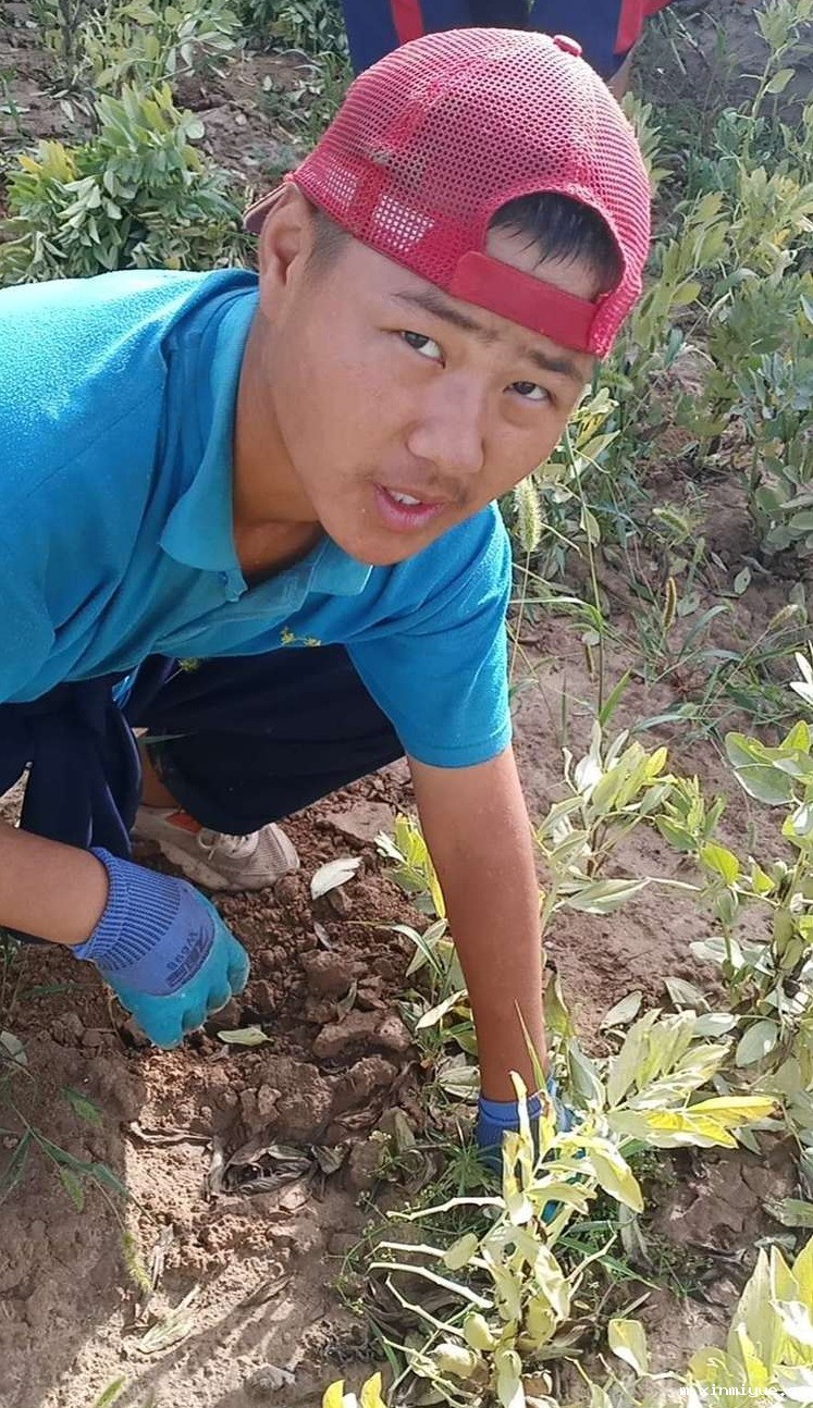 2021年必威betway中文官网夏令营第三期第19天:了解农耕文化,释放天性恢复感知能力! 2021年必威betway中文官网夏令营第三期第19天:了解农耕文化,释放天性恢复感知能力!_m.xinmiyue.com