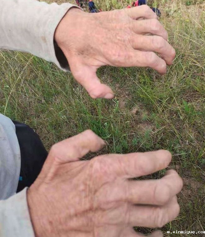 2021年必威betway中文官网夏令营第三期第19天:了解农耕文化,释放天性恢复感知能力! 2021年必威betway中文官网夏令营第三期第19天:了解农耕文化,释放天性恢复感知能力!_m.xinmiyue.com