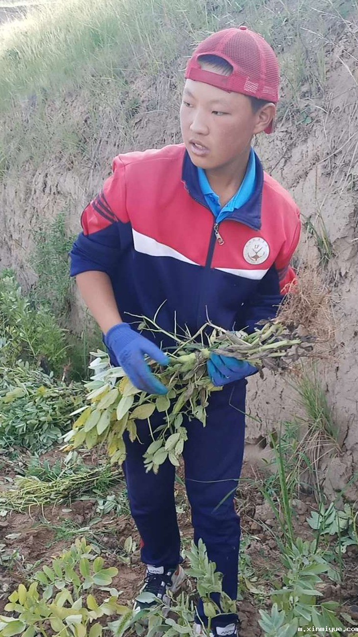 2021年必威betway中文官网夏令营第三期第19天:了解农耕文化,释放天性恢复感知能力! 2021年必威betway中文官网夏令营第三期第19天:了解农耕文化,释放天性恢复感知能力!_m.xinmiyue.com