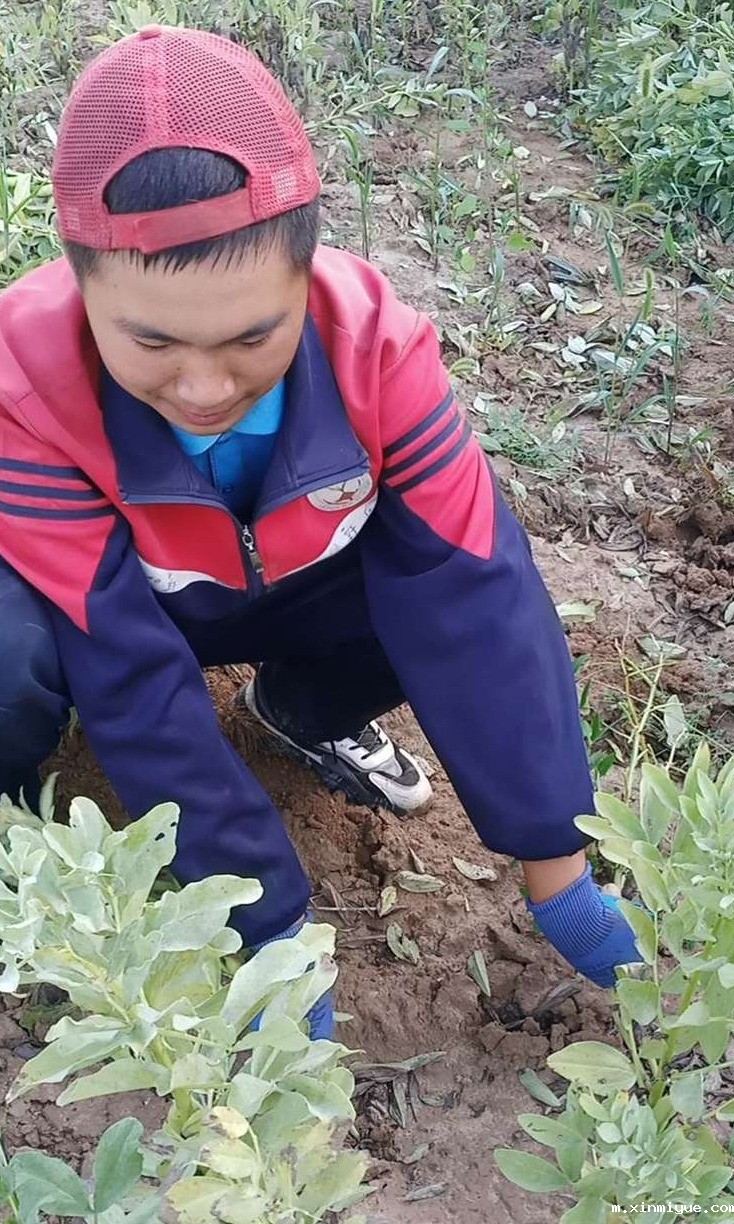 2021年必威betway中文官网夏令营第三期第19天:了解农耕文化,释放天性恢复感知能力! 2021年必威betway中文官网夏令营第三期第19天:了解农耕文化,释放天性恢复感知能力!_m.xinmiyue.com