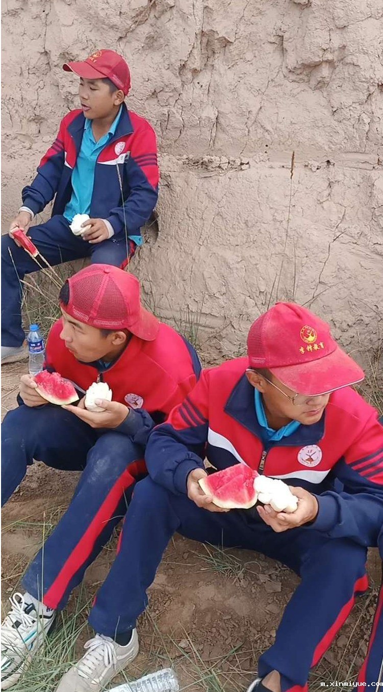 2021年必威betway中文官网夏令营第三期第19天:了解农耕文化,释放天性恢复感知能力! 2021年必威betway中文官网夏令营第三期第19天:了解农耕文化,释放天性恢复感知能力!_m.xinmiyue.com