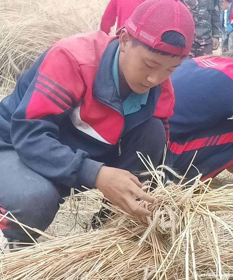 2021年必威betway中文官网夏令营第三期第十二天:为什么要珍惜粮食 看一粒小麦的生命之旅就懂了 2021年必威betway中文官网夏令营第三期第十二天:为什么要珍惜粮食 看一粒小麦的生命之旅就懂了_m.xinmiyue.com