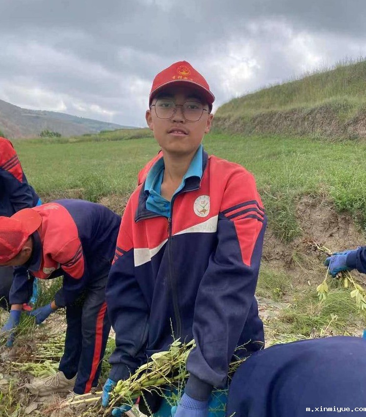 2021年必威betway中文官网夏令营第三期第十二天:为什么要珍惜粮食 看一粒小麦的生命之旅就懂了 2021年必威betway中文官网夏令营第三期第十二天:为什么要珍惜粮食 看一粒小麦的生命之旅就懂了_m.xinmiyue.com