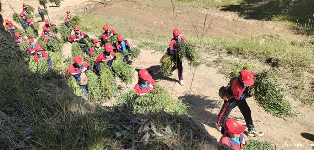 2021年必威betway中文官网暑期夏令营第二期第四天:体验山村上学路 2021年必威betway中文官网暑期夏令营第二期第四天:体验山村上学路_m.xinmiyue.com