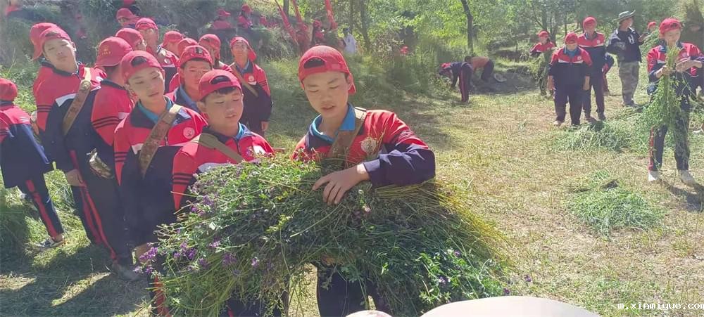 2021年必威betway中文官网暑期夏令营第二期第四天:体验山村上学路 2021年必威betway中文官网暑期夏令营第二期第四天:体验山村上学路_m.xinmiyue.com