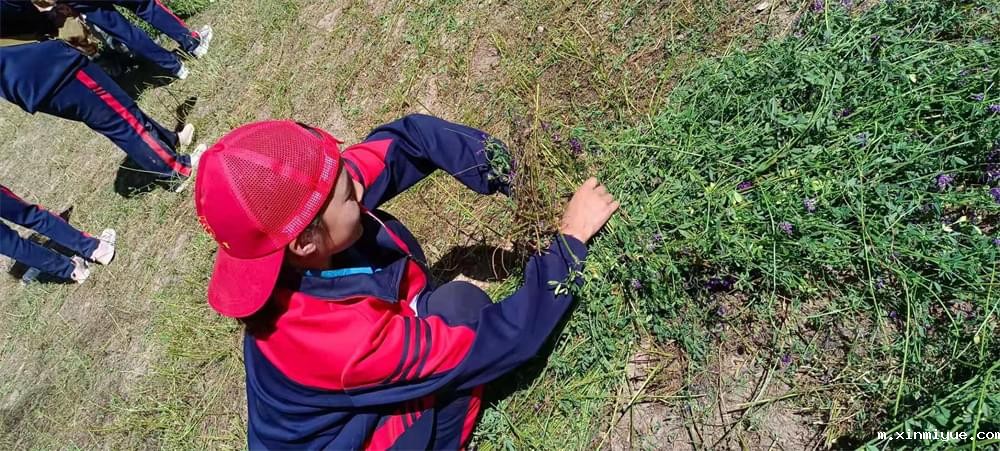 2021年必威betway中文官网暑期夏令营第二期第四天:体验山村上学路 2021年必威betway中文官网暑期夏令营第二期第四天:体验山村上学路_m.xinmiyue.com