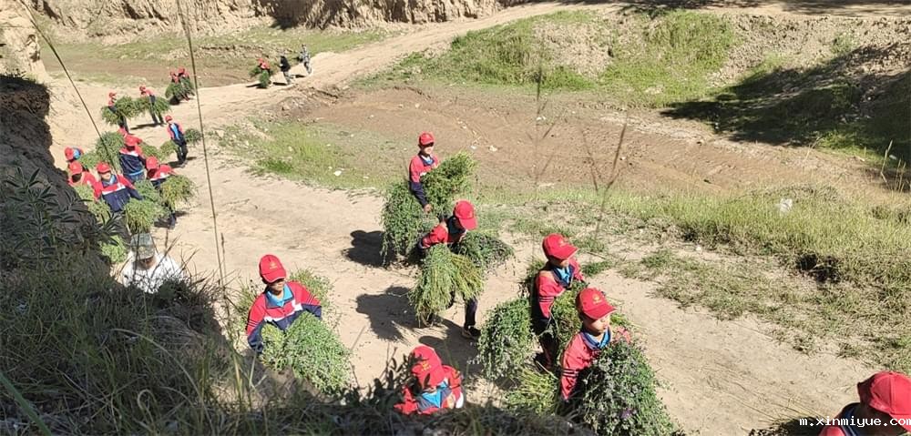 2021年必威betway中文官网暑期夏令营第二期第四天:体验山村上学路 2021年必威betway中文官网暑期夏令营第二期第四天:体验山村上学路_m.xinmiyue.com