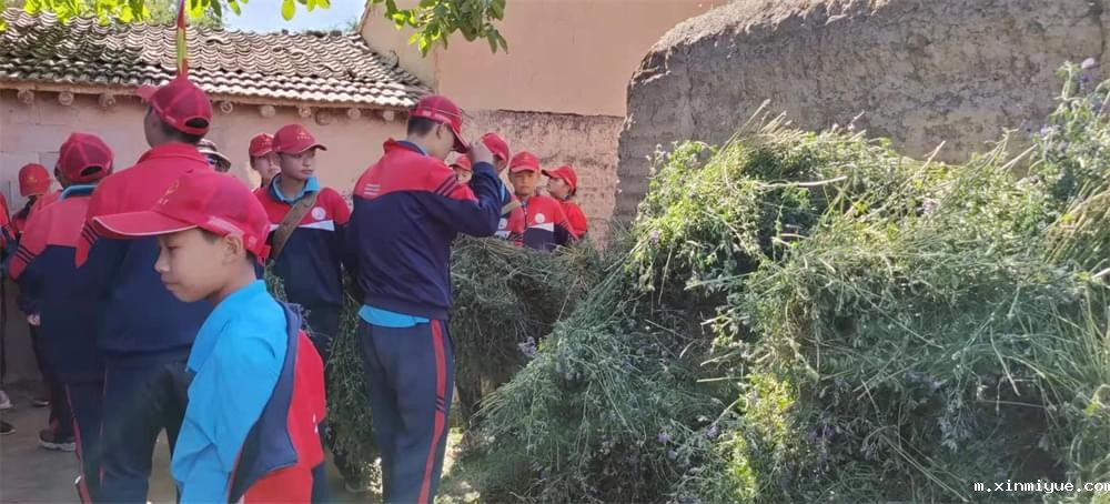 2021年必威betway中文官网暑期夏令营第二期第四天:体验山村上学路 2021年必威betway中文官网暑期夏令营第二期第四天:体验山村上学路_m.xinmiyue.com