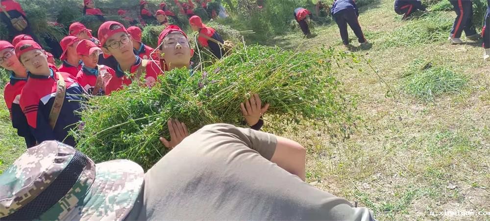 2021年必威betway中文官网暑期夏令营第二期第四天:体验山村上学路 2021年必威betway中文官网暑期夏令营第二期第四天:体验山村上学路_m.xinmiyue.com