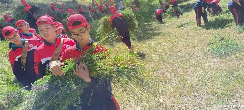 2021年必威betway中文官网暑期夏令营第二期第四天:体验山村上学路 2021年必威betway中文官网暑期夏令营第二期第四天:体验山村上学路_m.xinmiyue.com