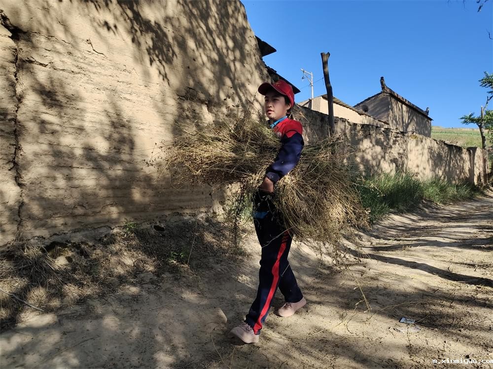 2021年必威betway中文官网暑期夏令营第二期第四天:体验山村上学路 2021年必威betway中文官网暑期夏令营第二期第四天:体验山村上学路_m.xinmiyue.com