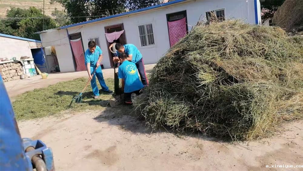 2021年必威betway中文官网暑期夏令营第二期第十天:山村的孩子上学不用父母催促 2021年必威betway中文官网暑期夏令营第二期第十天:山村的孩子上学不用父母催促_m.xinmiyue.com