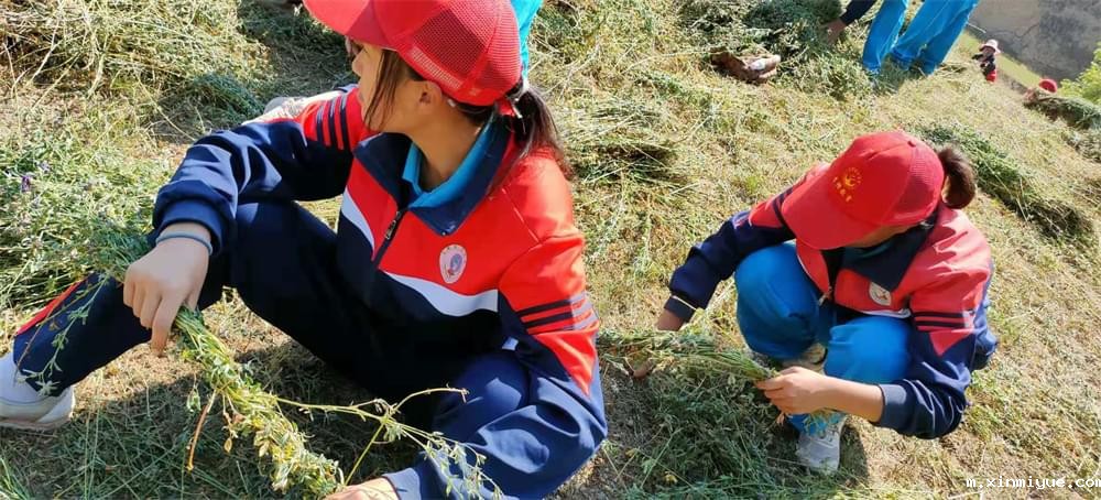 2021年必威betway中文官网暑期夏令营第二期第十天:山村的孩子上学不用父母催促 2021年必威betway中文官网暑期夏令营第二期第十天:山村的孩子上学不用父母催促_m.xinmiyue.com