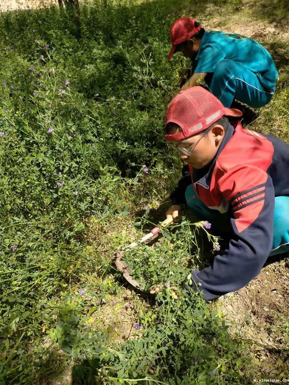 2021年必威betway中文官网暑期夏令营第二期第十天:山村的孩子上学不用父母催促 2021年必威betway中文官网暑期夏令营第二期第十天:山村的孩子上学不用父母催促_m.xinmiyue.com