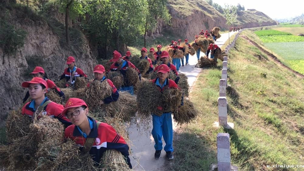 2021年必威betway中文官网暑期夏令营第二期第十天:山村的孩子上学不用父母催促 2021年必威betway中文官网暑期夏令营第二期第十天:山村的孩子上学不用父母催促_m.xinmiyue.com