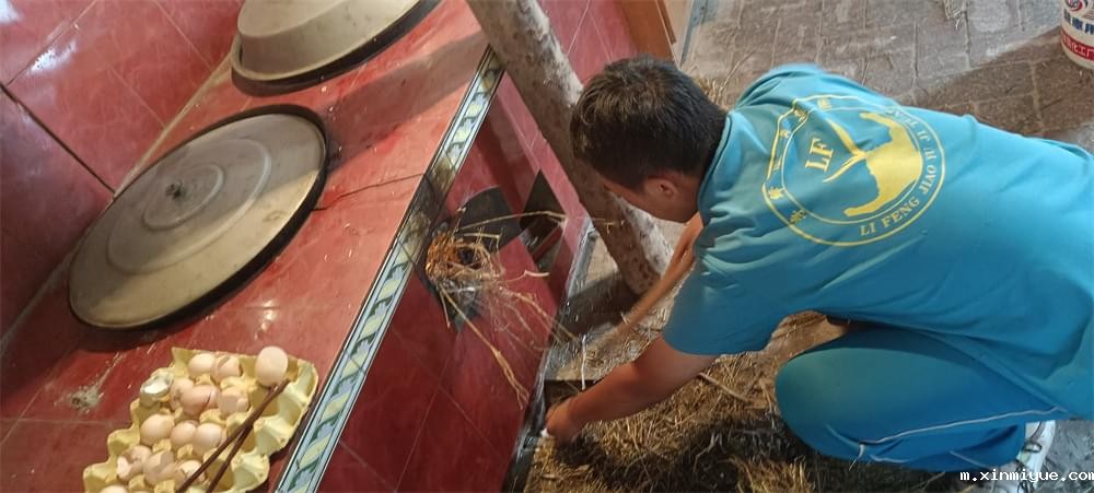 2021年必威betway中文官网暑期夏令营第二期第十天:山村的孩子上学不用父母催促 2021年必威betway中文官网暑期夏令营第二期第十天:山村的孩子上学不用父母催促_m.xinmiyue.com