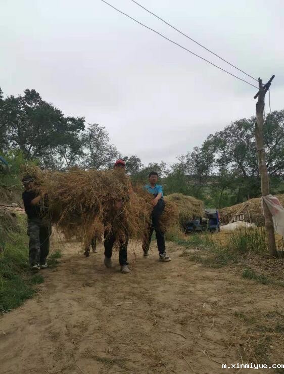 经济来源主要靠务农的家庭怎么能供孩子上学? 经济来源主要靠务农的家庭怎么能供孩子上学?_m.xinmiyue.com