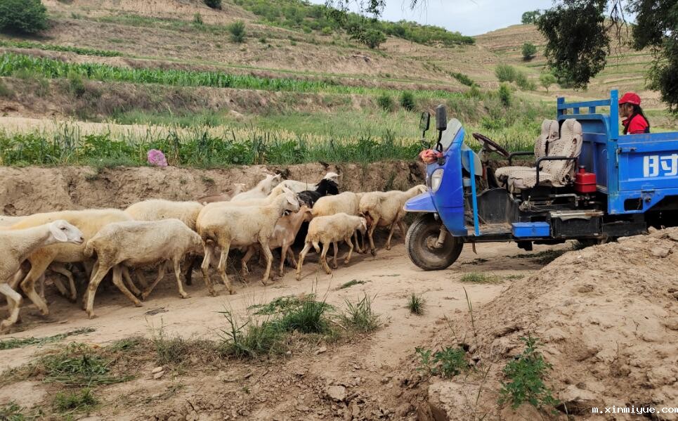 经济来源主要靠务农的家庭怎么能供孩子上学? 经济来源主要靠务农的家庭怎么能供孩子上学?_m.xinmiyue.com