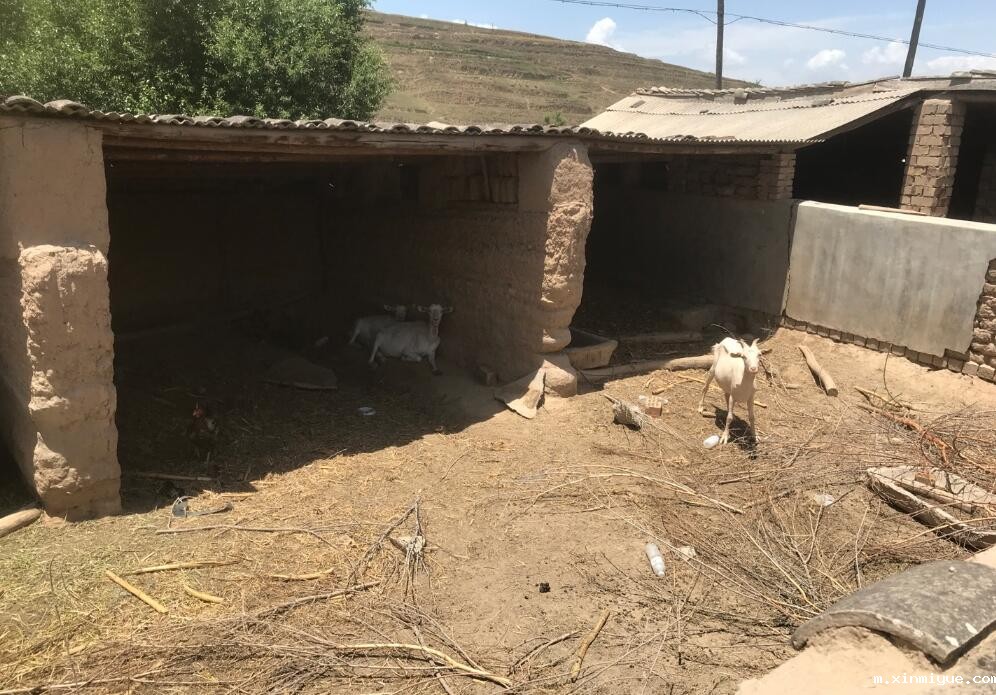 入住贫困家庭,孩子生活在贫困山村怎么保持开朗乐观,勤奋好学? 入住贫困家庭,孩子生活在贫困山村怎么保持开朗乐观,勤奋好学?_m.xinmiyue.com