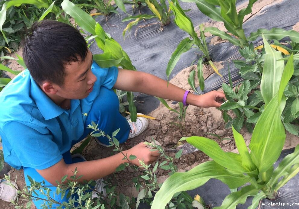 入住贫困家庭,孩子生活在贫困山村怎么保持开朗乐观,勤奋好学? 入住贫困家庭,孩子生活在贫困山村怎么保持开朗乐观,勤奋好学?_m.xinmiyue.com