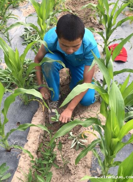 入住贫困家庭,孩子生活在贫困山村怎么保持开朗乐观,勤奋好学? 入住贫困家庭,孩子生活在贫困山村怎么保持开朗乐观,勤奋好学?_m.xinmiyue.com