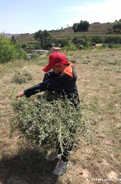 入住贫困家庭,孩子生活在贫困山村怎么保持开朗乐观,勤奋好学? 入住贫困家庭,孩子生活在贫困山村怎么保持开朗乐观,勤奋好学?_m.xinmiyue.com