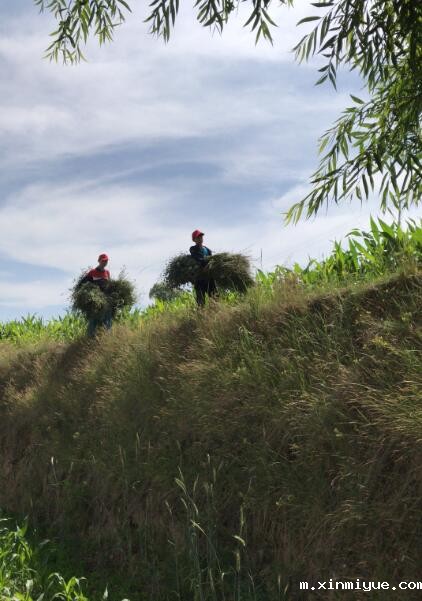 入住贫困家庭,孩子生活在贫困山村怎么保持开朗乐观,勤奋好学? 入住贫困家庭,孩子生活在贫困山村怎么保持开朗乐观,勤奋好学?_m.xinmiyue.com