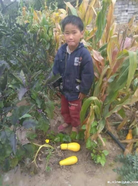 何铵 四口单亲之家 没有劳动力的家庭 何铵 四口单亲之家 没有劳动力的家庭_m.xinmiyue.com