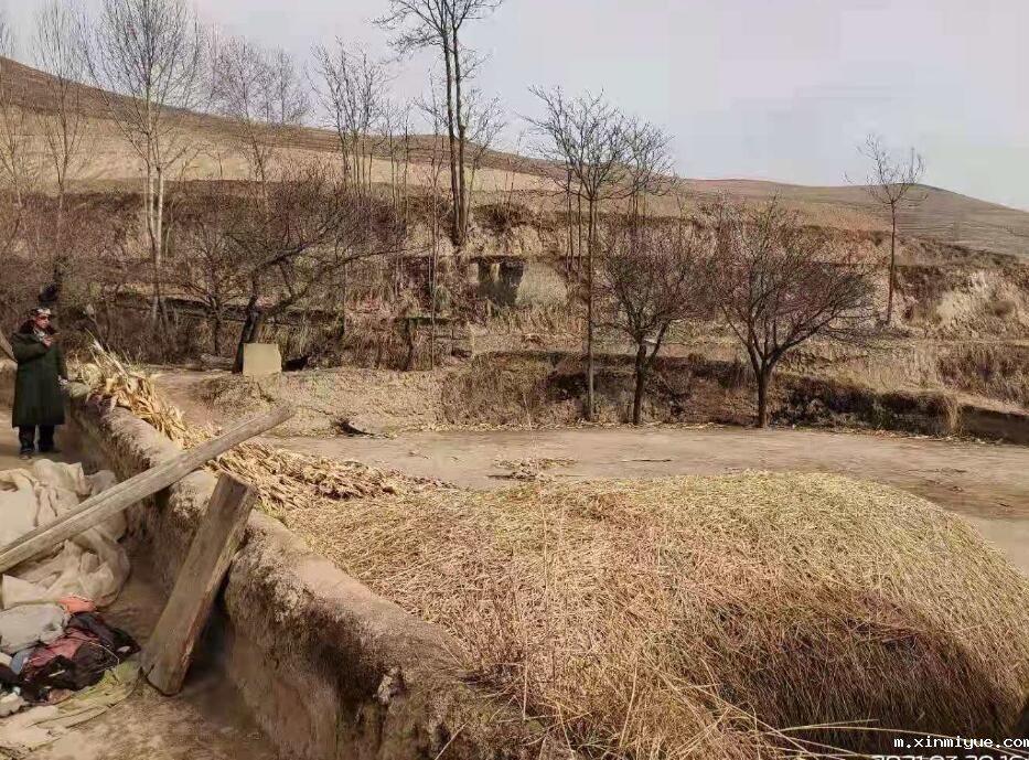 贾静虎 九口之家 欠债10万元 贾静虎 九口之家 欠债10万元_m.xinmiyue.com