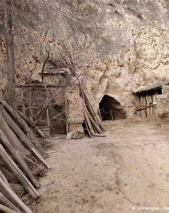 贾静虎 九口之家 欠债10万元 贾静虎 九口之家 欠债10万元_m.xinmiyue.com